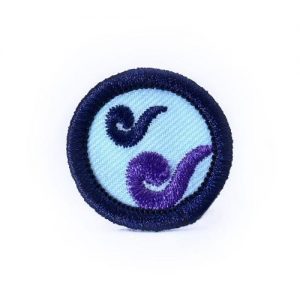 INSIGNIAS DE ESP.EXP Y COM (AZUL)