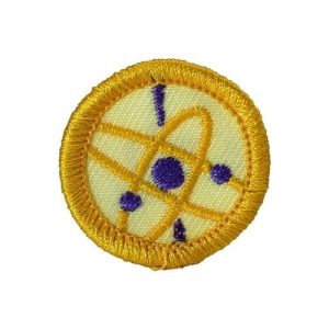 INSIGNIAS DE ESP.TEC Y CIEN. (AMARILLO)