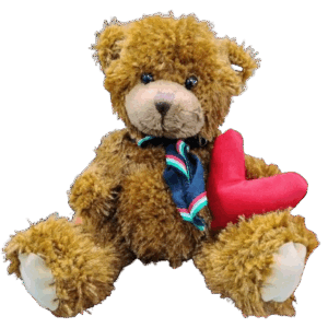 OSO SCOUT SAN VALENTIN