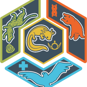 INS. AVENTURAS EN LA NATURALEZA TROPA