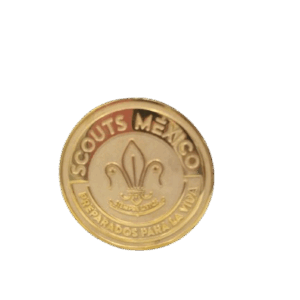 MONEDA DORADA CENTENARIO