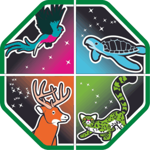 PROGRESIONES DE TROPA