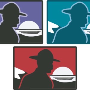 INSIGNIAS DE SECCIÓN ROVER