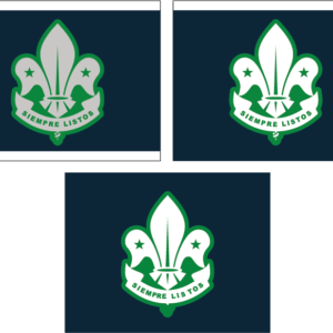 DISTINTIVOS DE TROPA