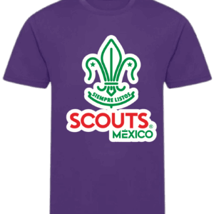 PLAYERAS CENTENARIO MORADAS