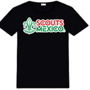 PLAYERAS CENTENARIO NEGRAS